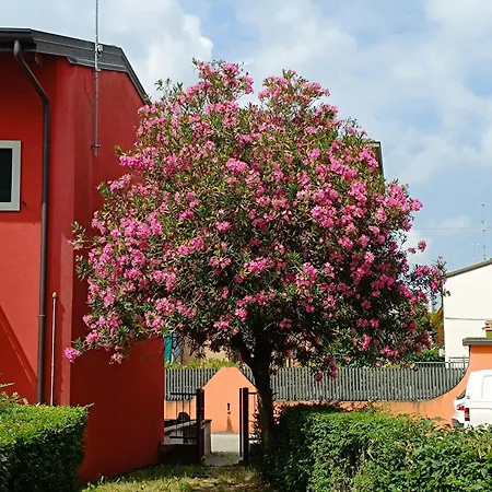 Marco Bilocale Ospedale Borgo Roma E Fiera * Verona